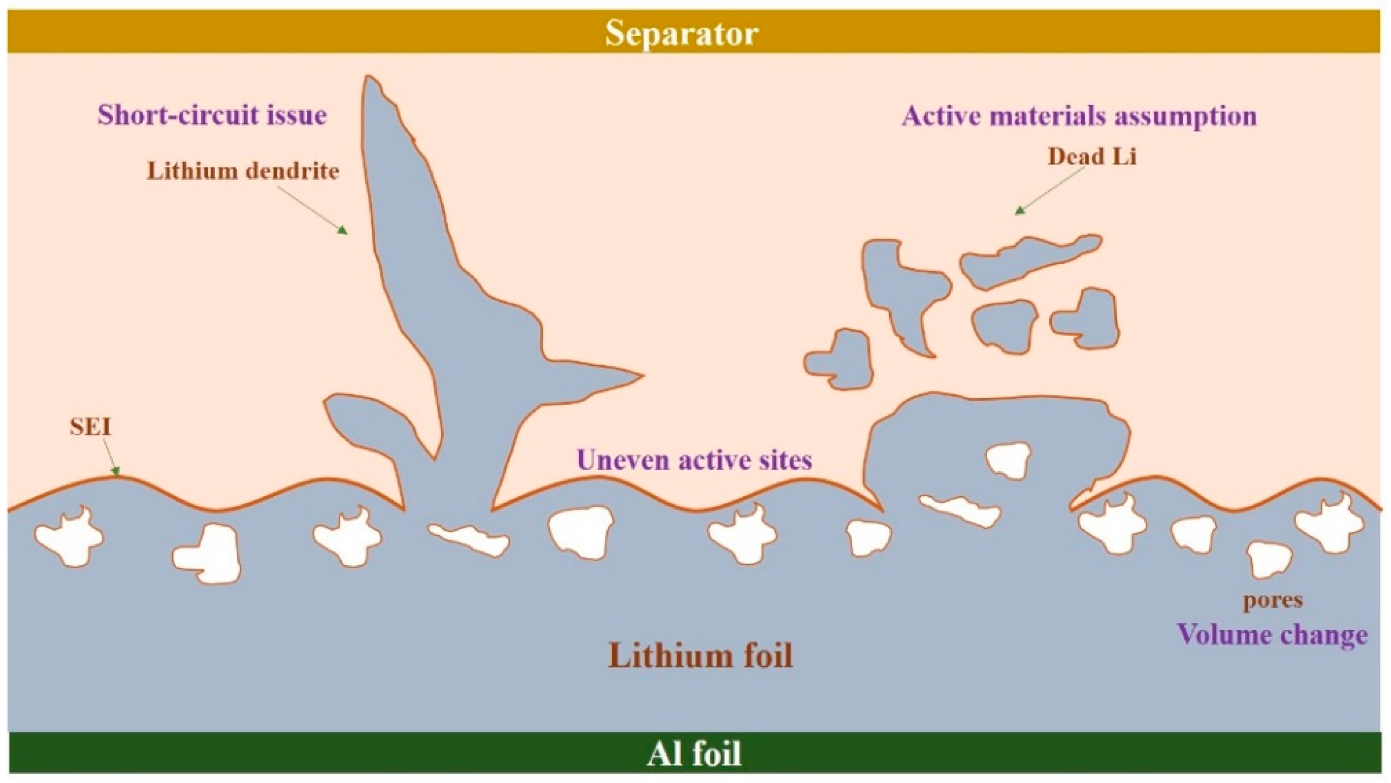 Sustainability 14 09090 g007