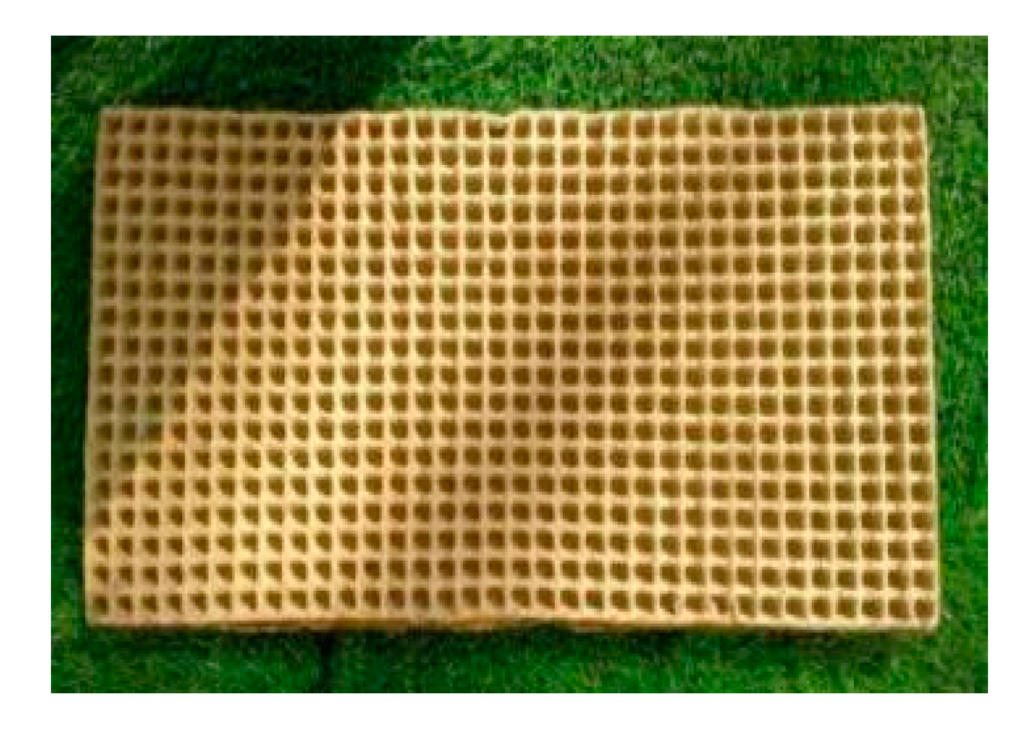 Sustainability 14 09101 g005