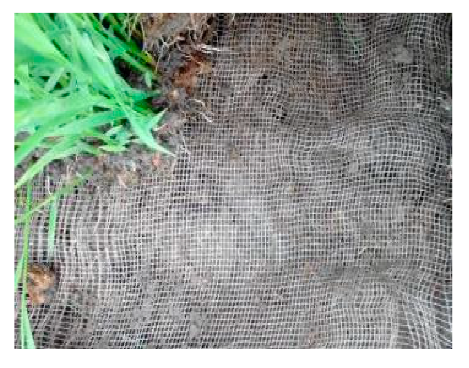 Sustainability 14 09101 g008