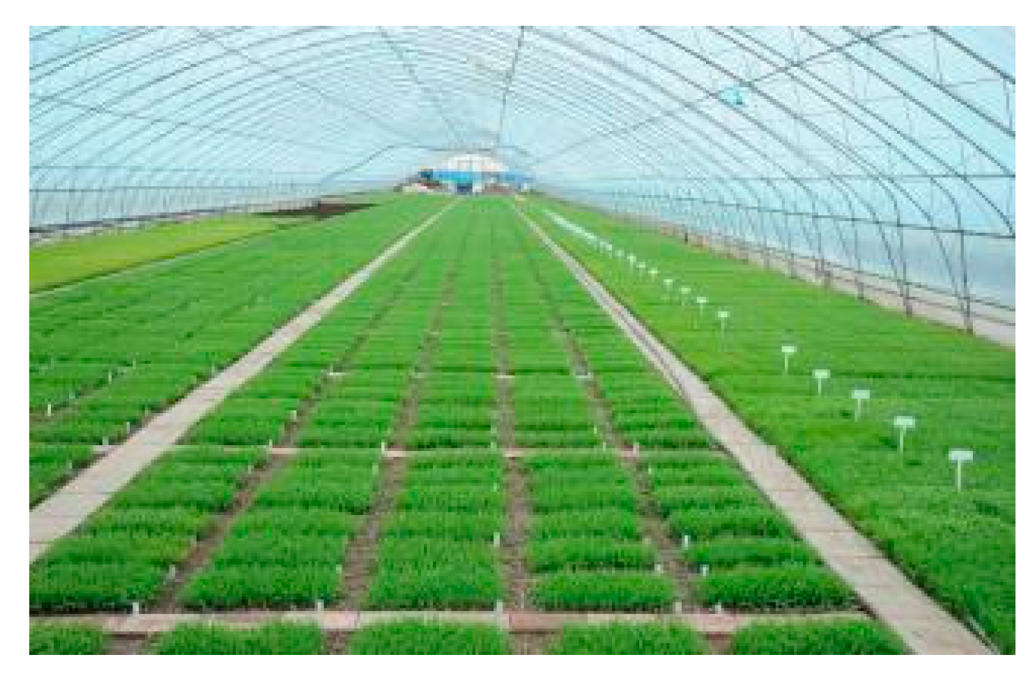 Sustainability 14 09101 g009