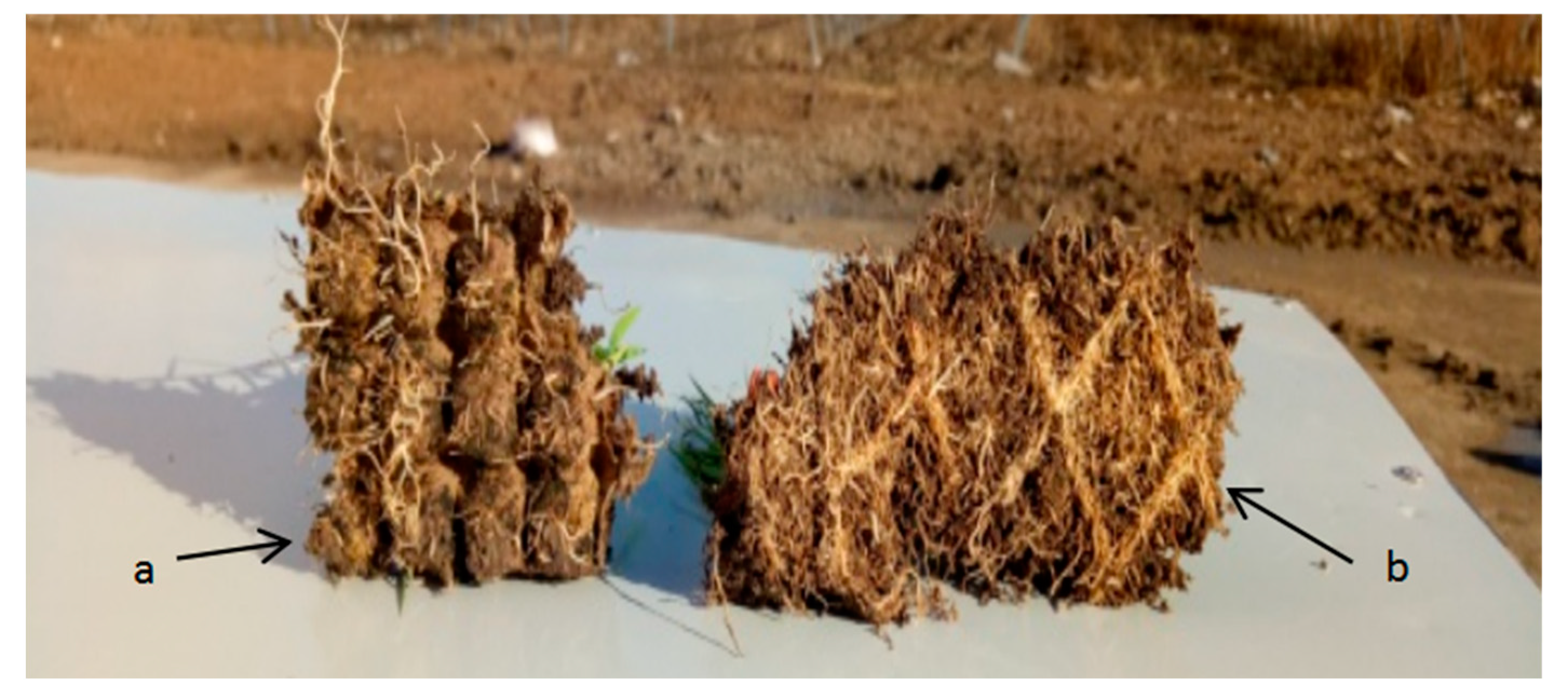 Sustainability 14 09101 g012