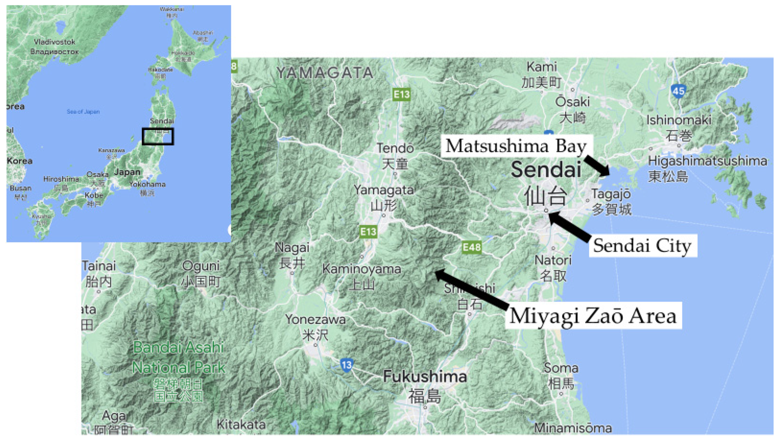 Sustainability 14 09124 g001