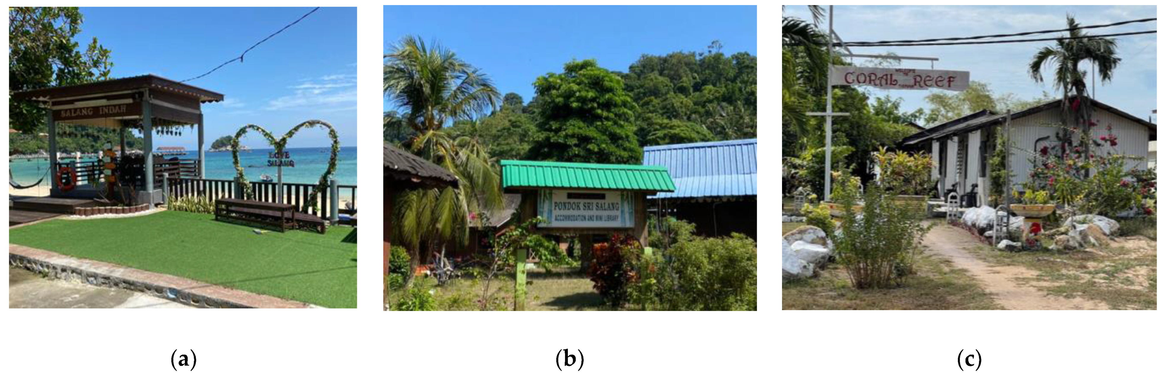 Sustainability 14 09133 g001