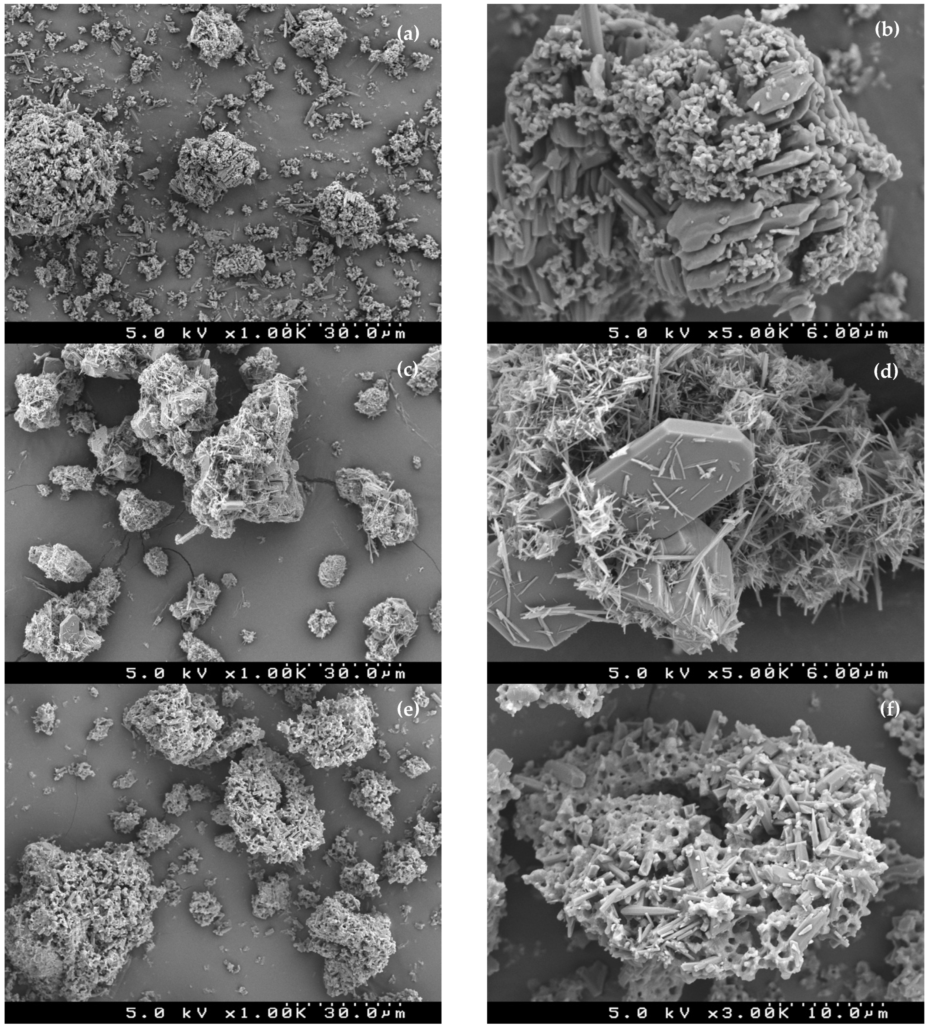 Sustainability 14 09150 g002