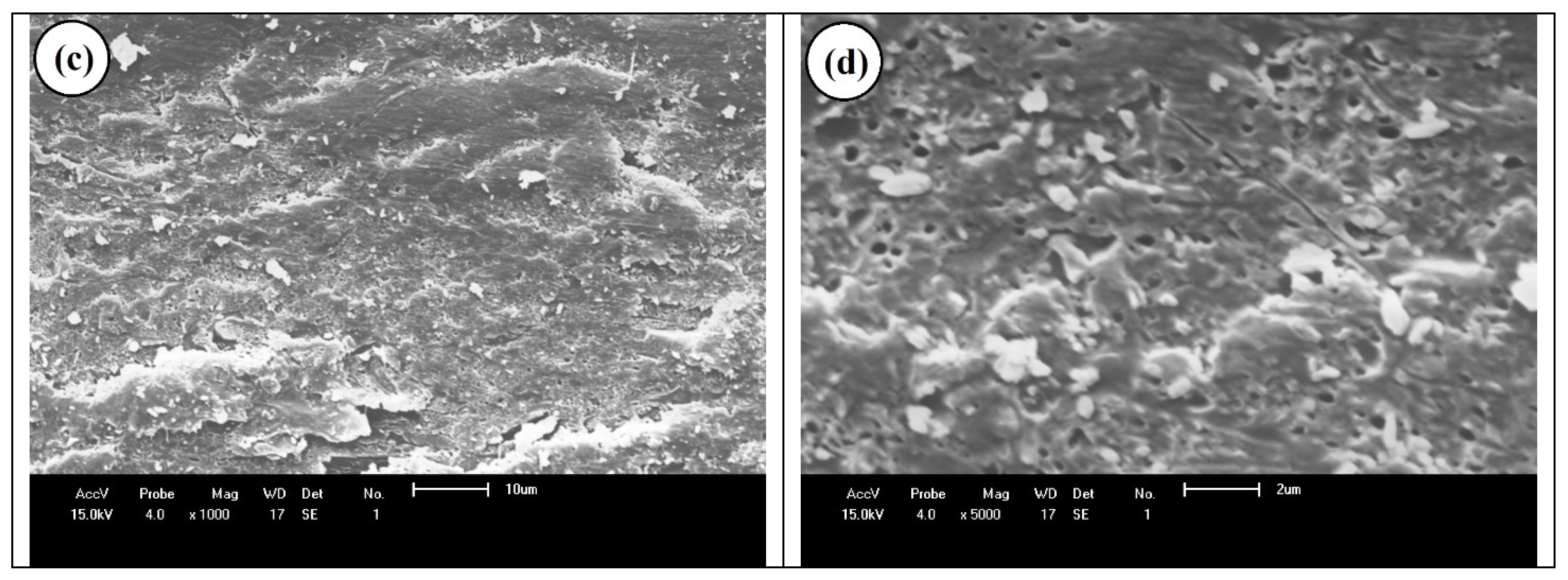 Sustainability 14 09254 g011b