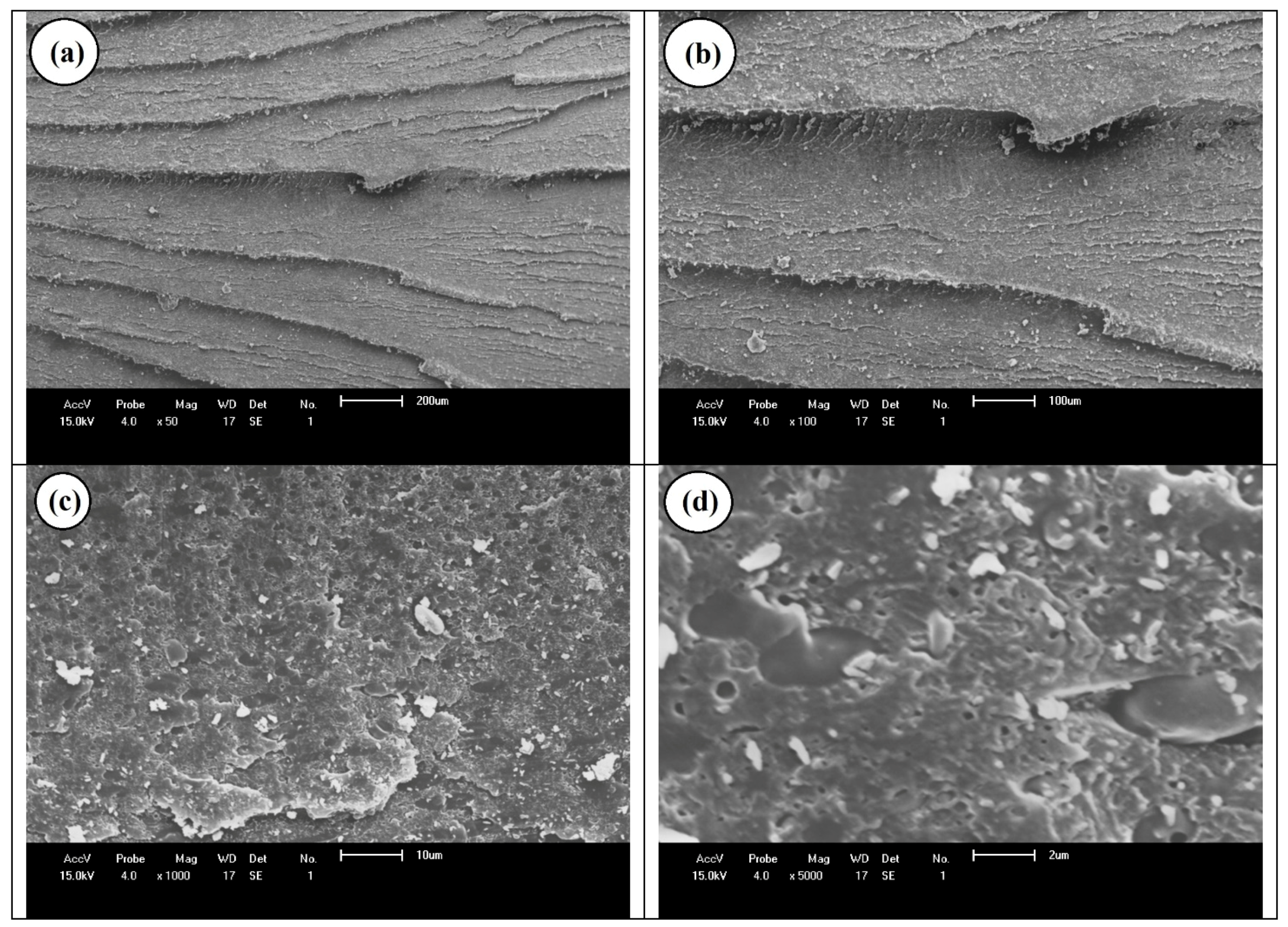 Sustainability 14 09254 g013