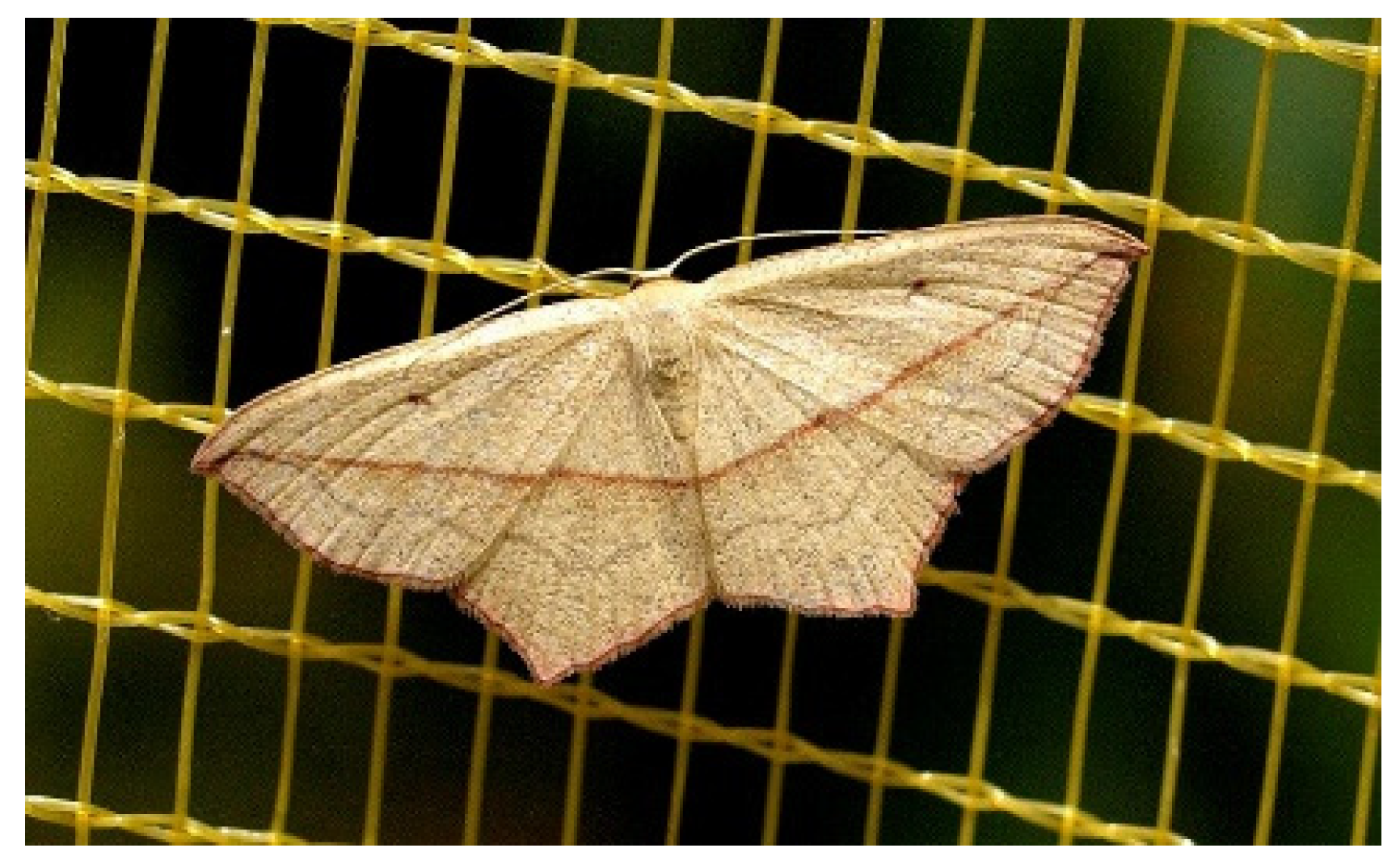 Sustainability 14 09264 g001