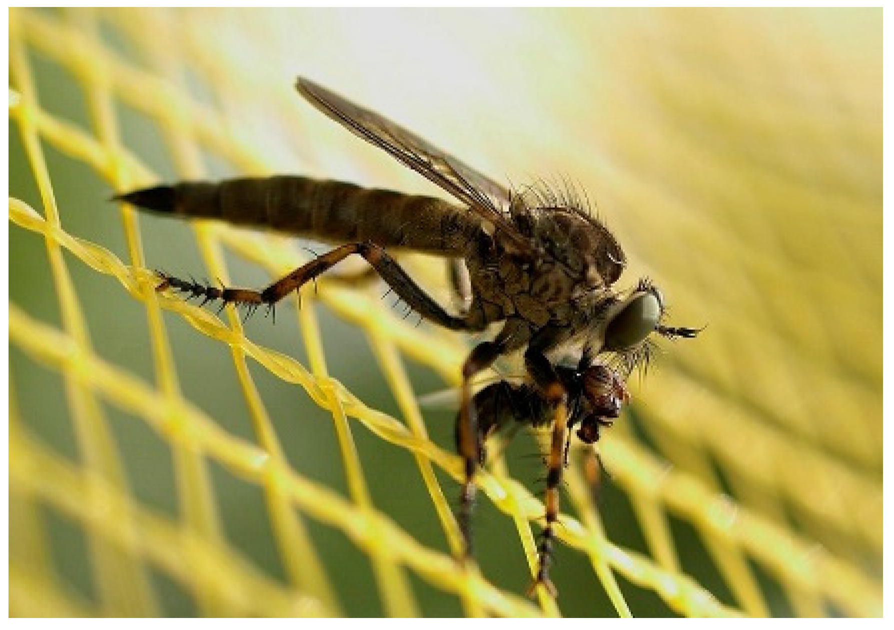 Sustainability 14 09264 g002