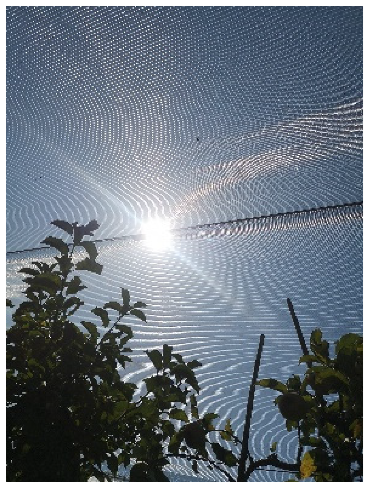 Sustainability 14 09264 g003