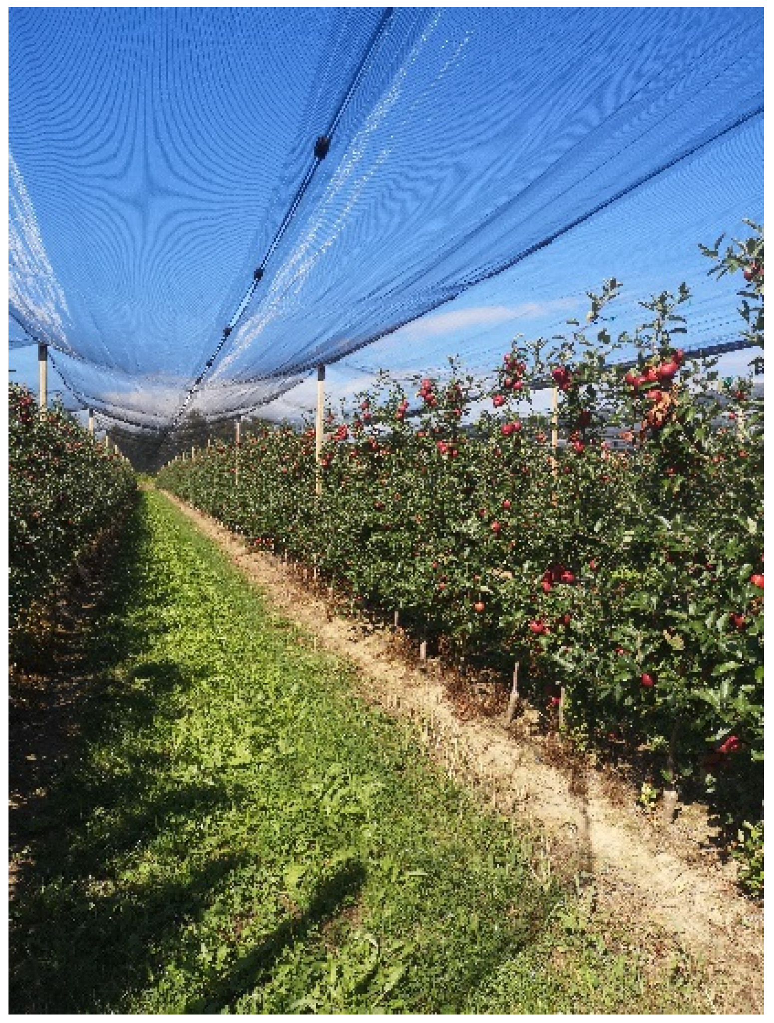 Sustainability 14 09264 g004