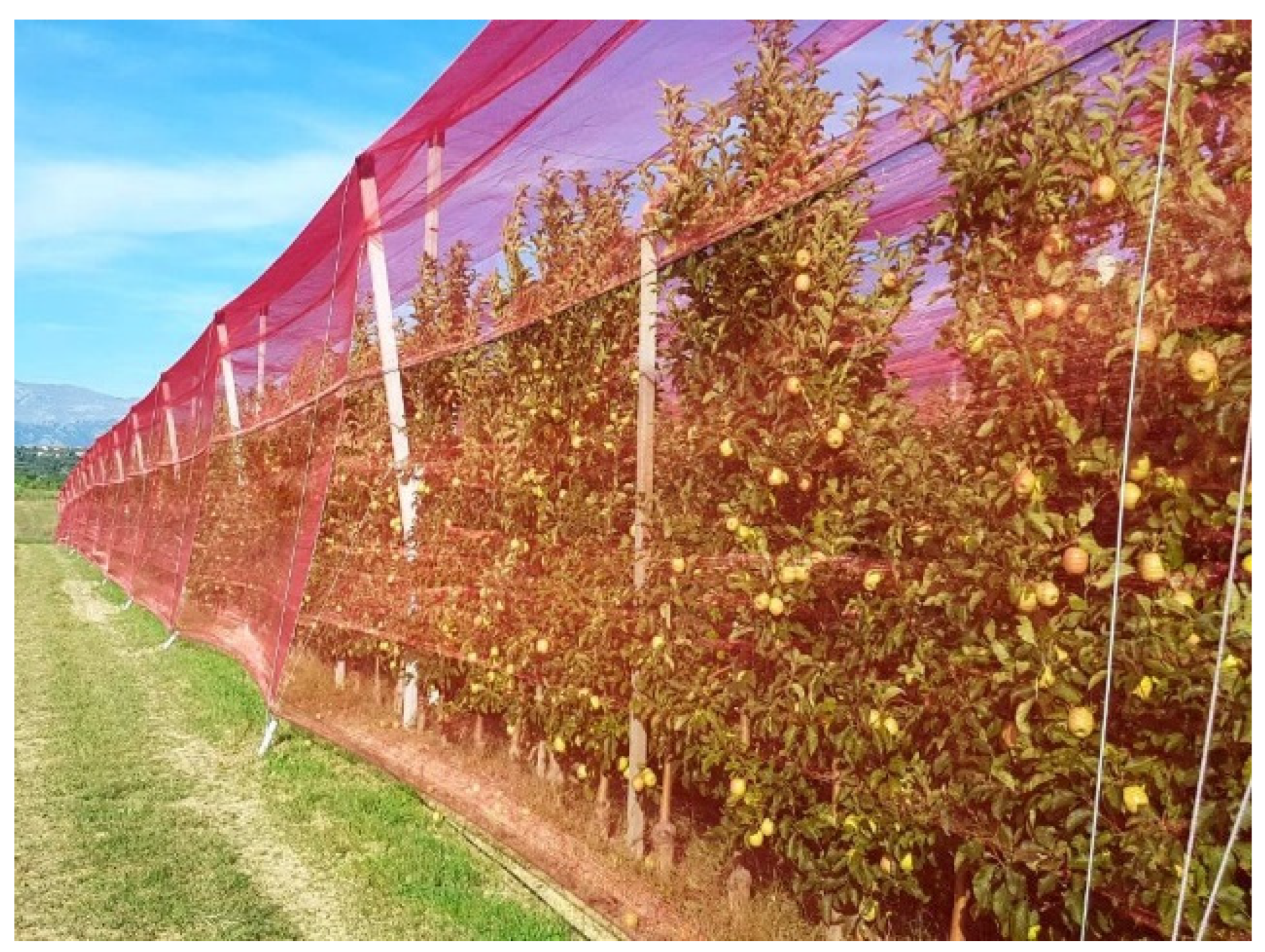 Sustainability 14 09264 g005