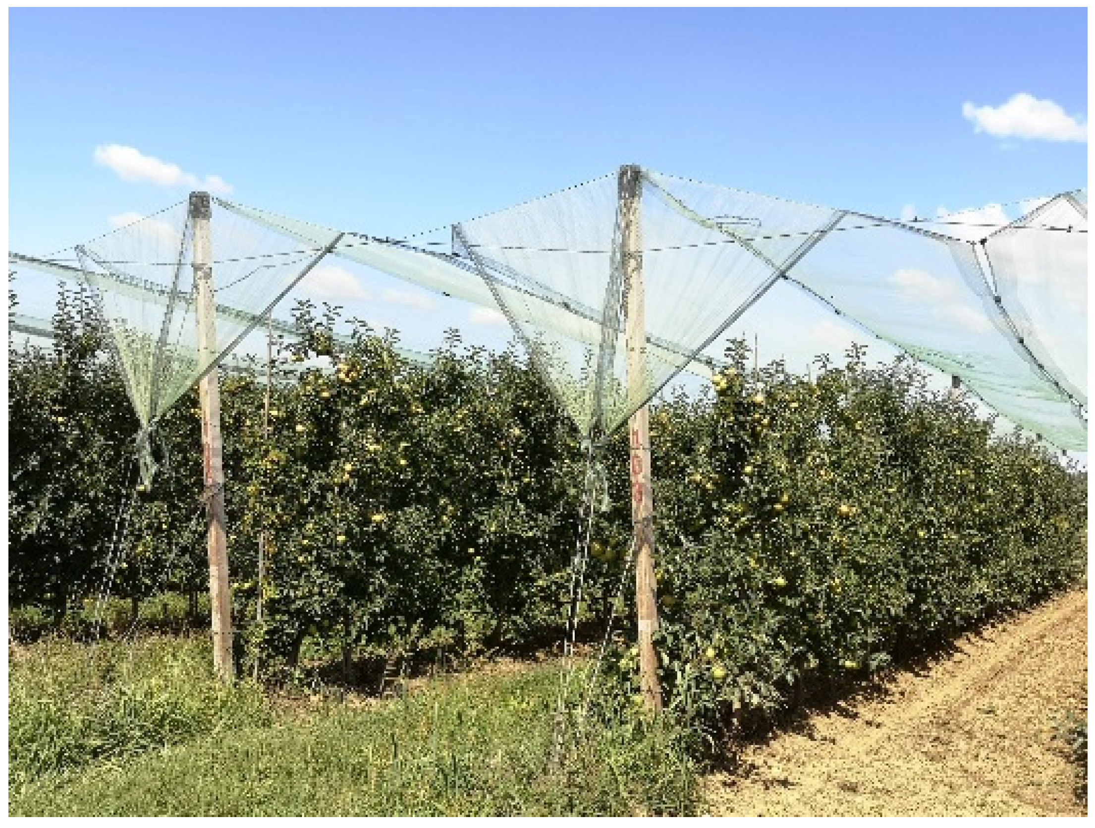 Sustainability 14 09264 g006