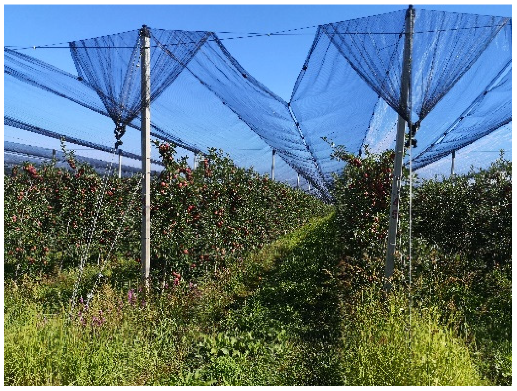 Sustainability 14 09264 g007