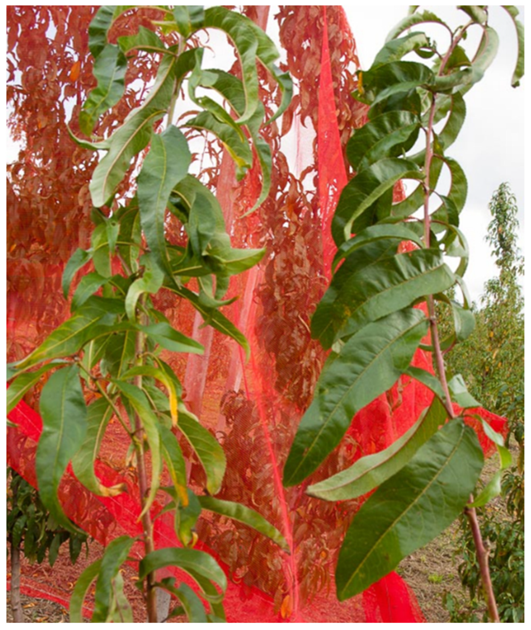 Sustainability 14 09264 g008