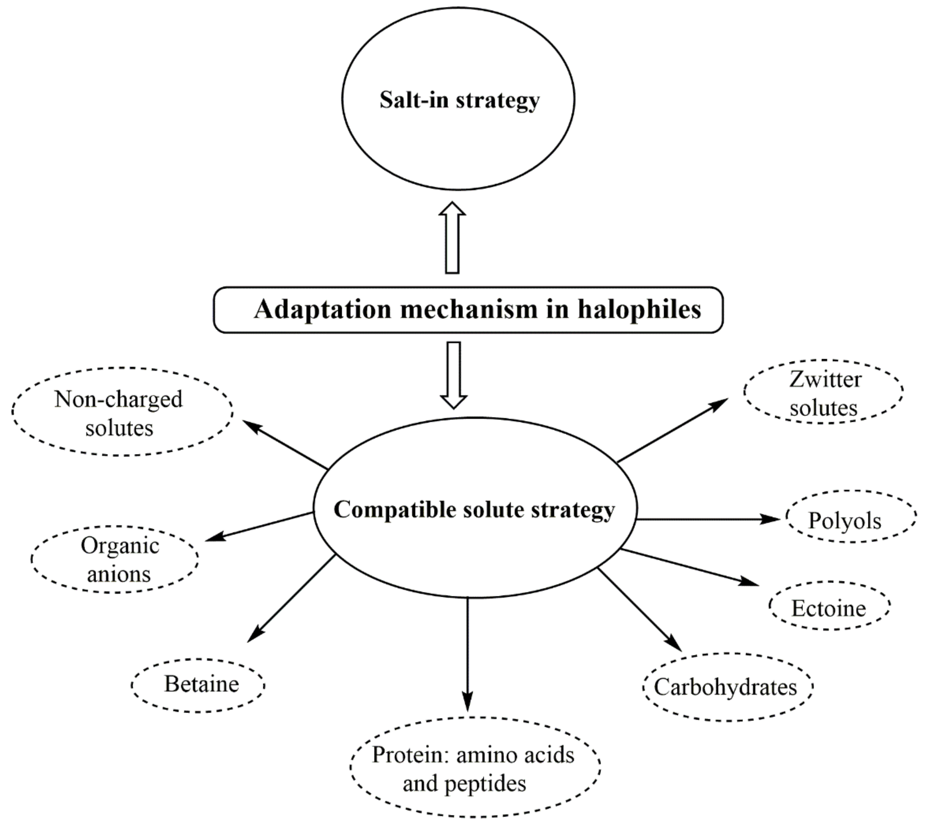 Sustainability 14 09280 g001 Sustainability 14 09280 g001