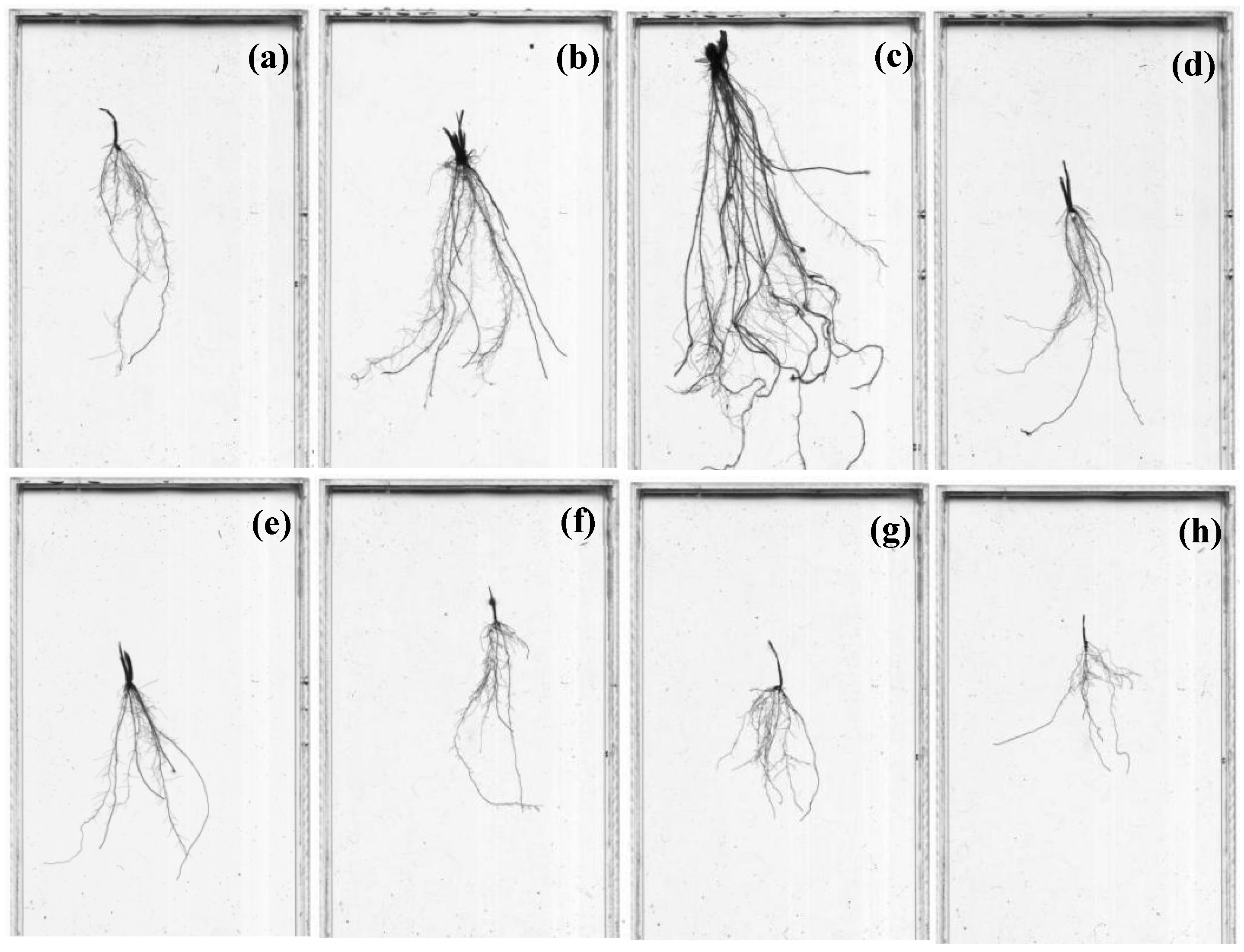 Sustainability 14 09286 g005