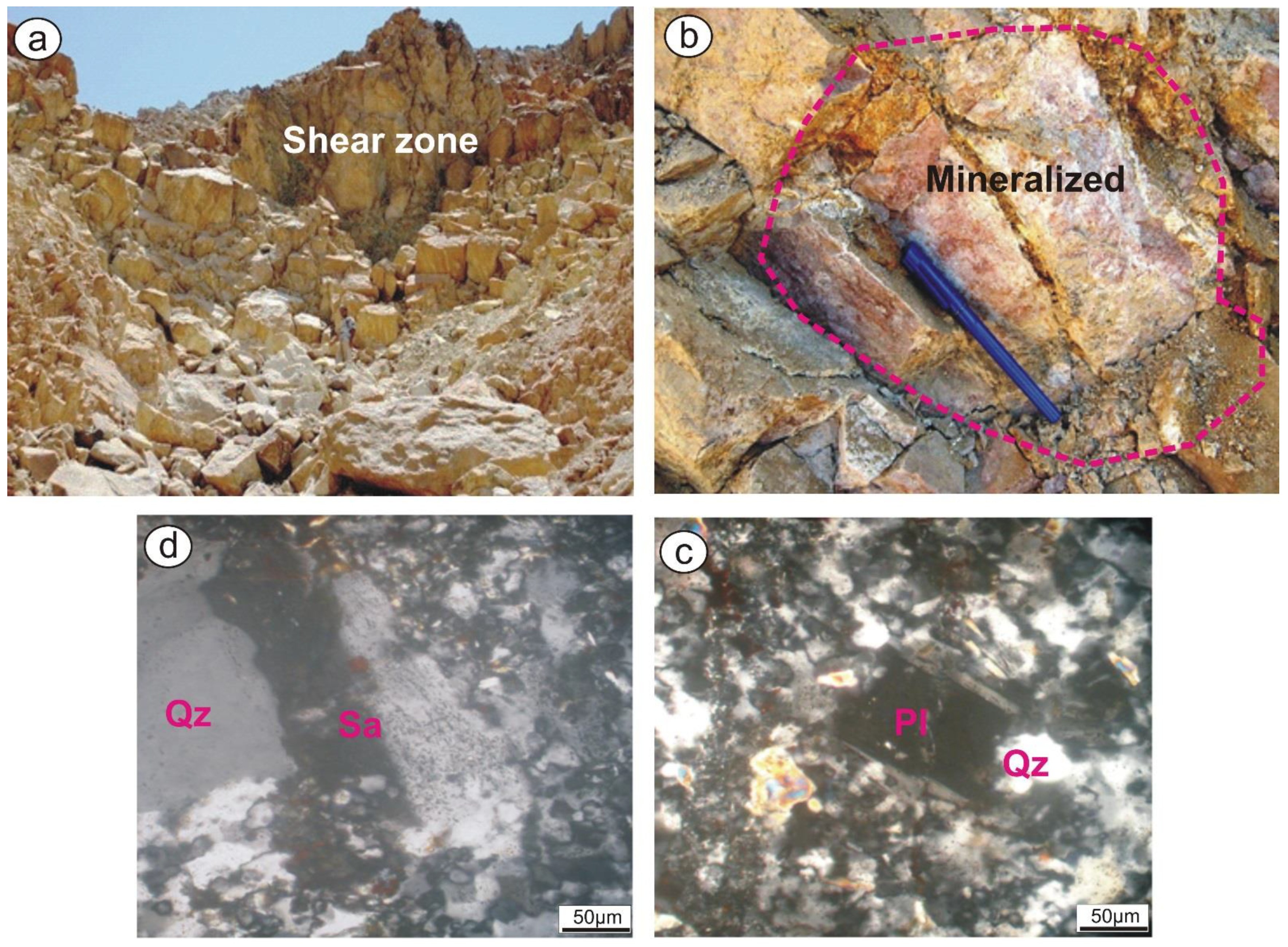 Sustainability 14 09291 g002