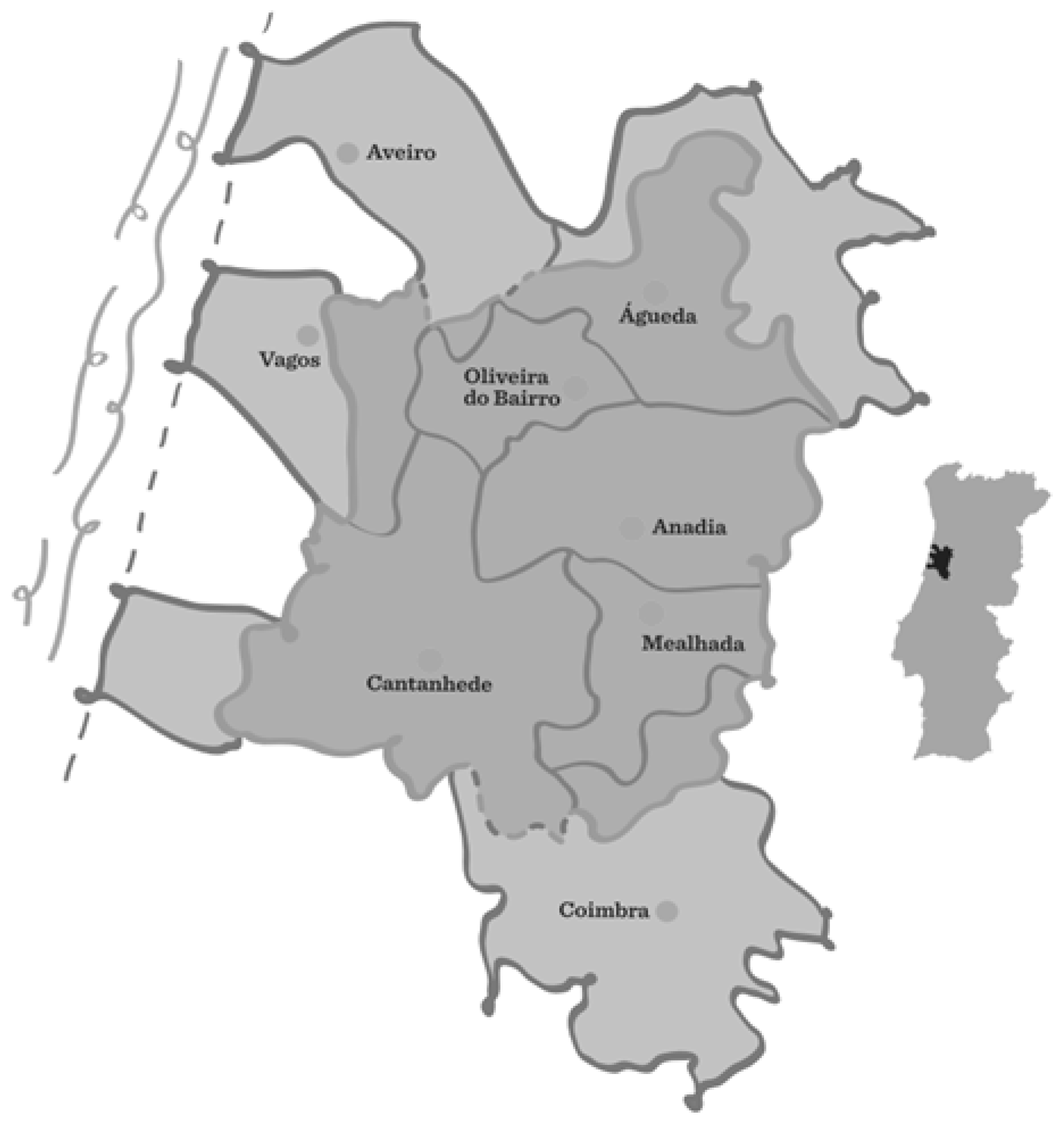 Sustainability 14 09308 g001