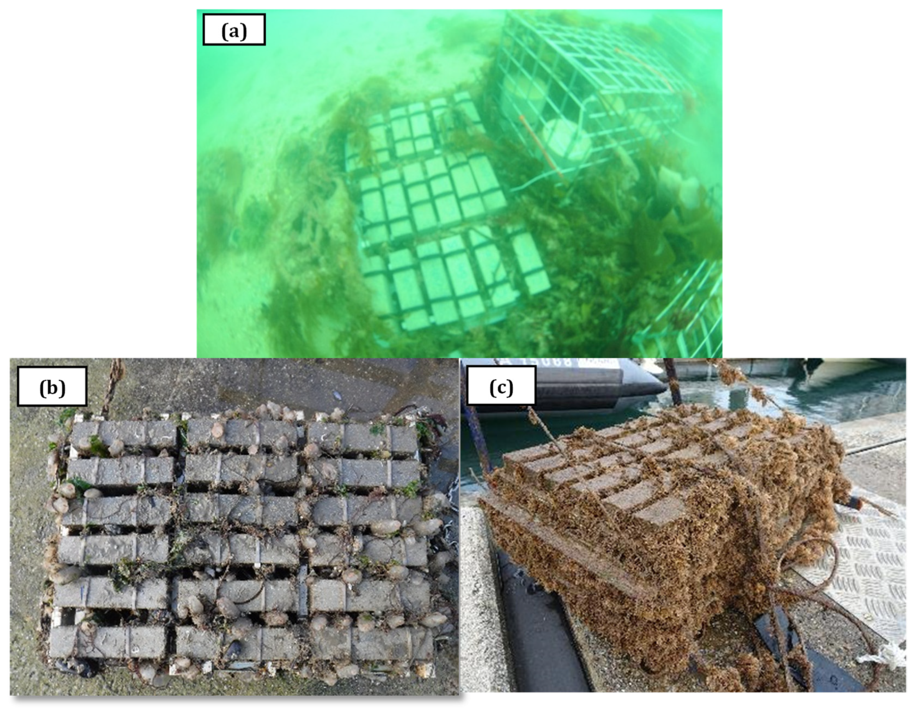 Sustainability 14 09353 g007