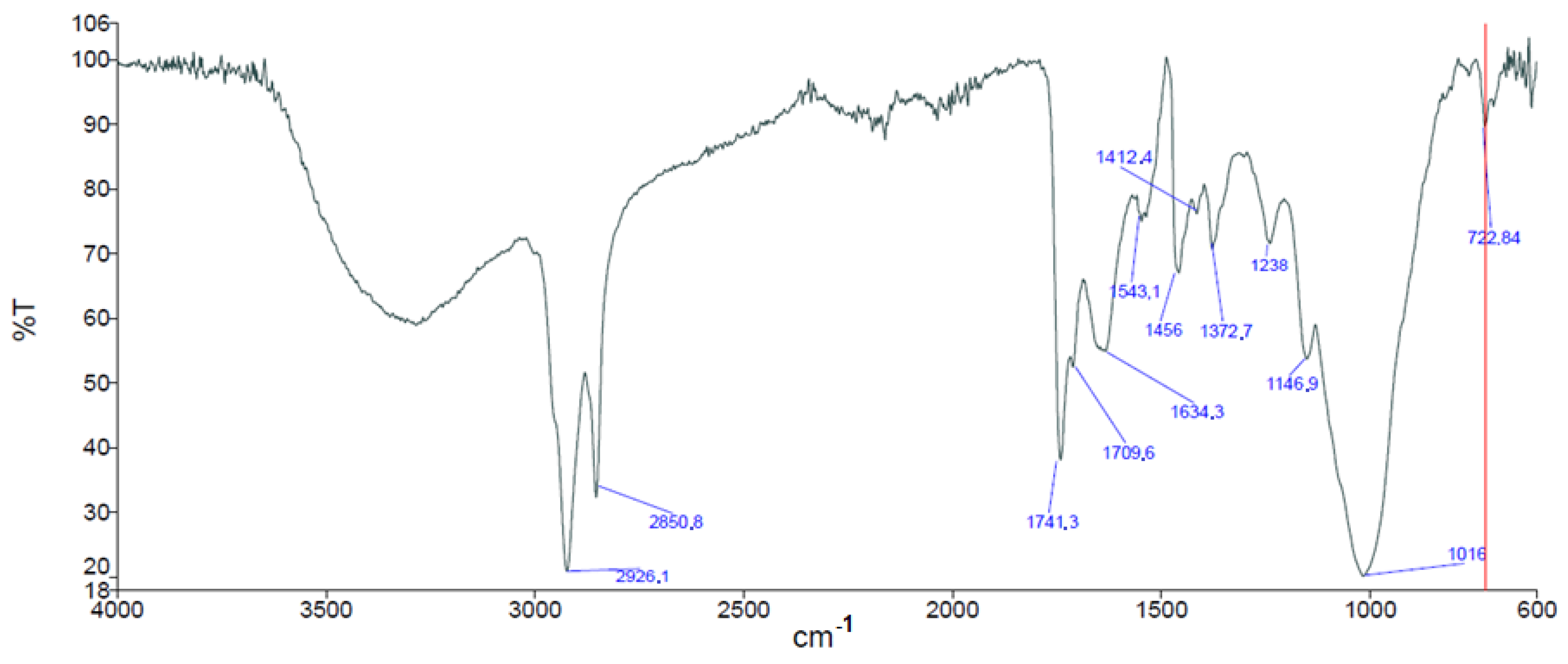 Sustainability 14 09365 g001