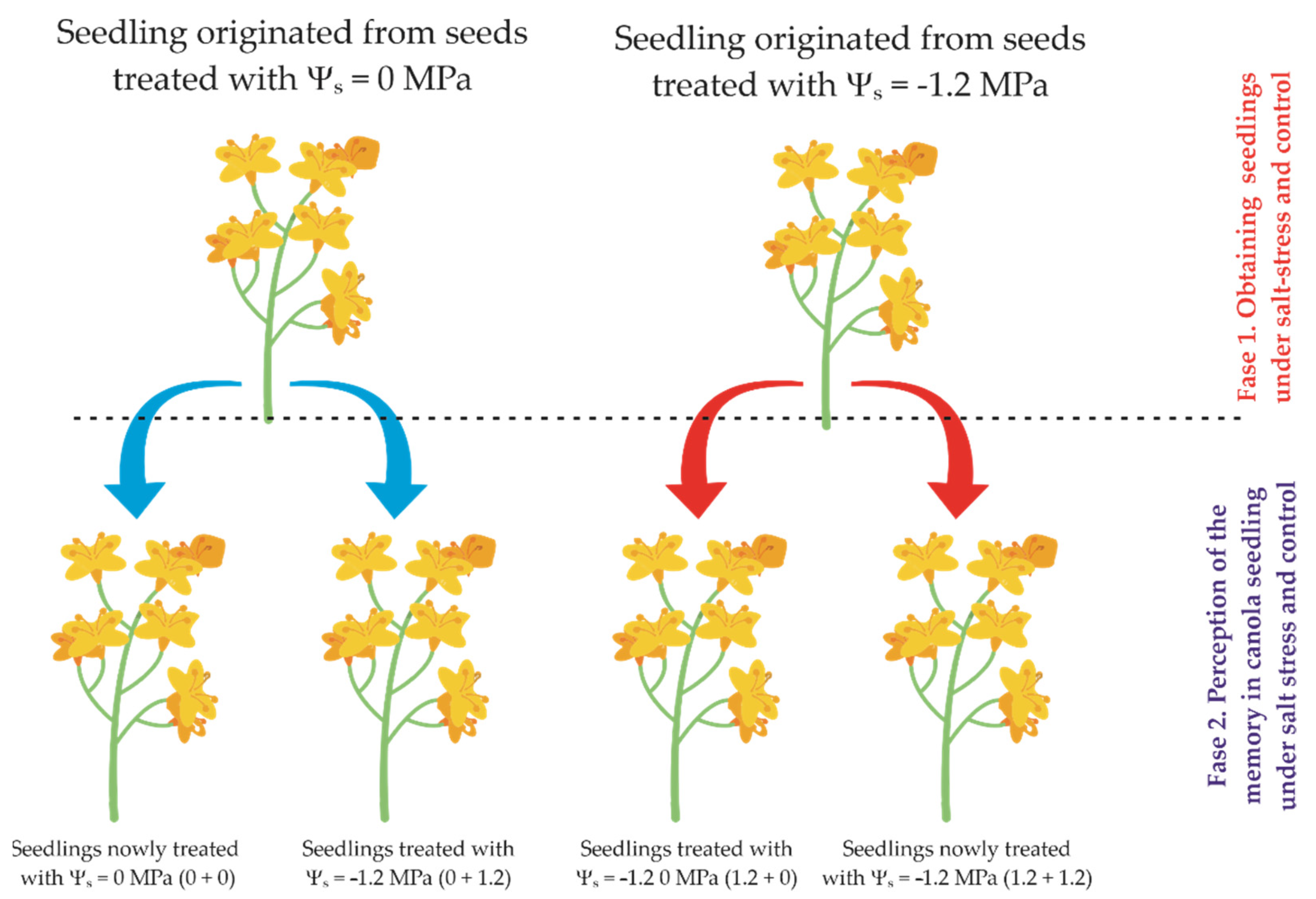 Sustainability 14 09377 g001