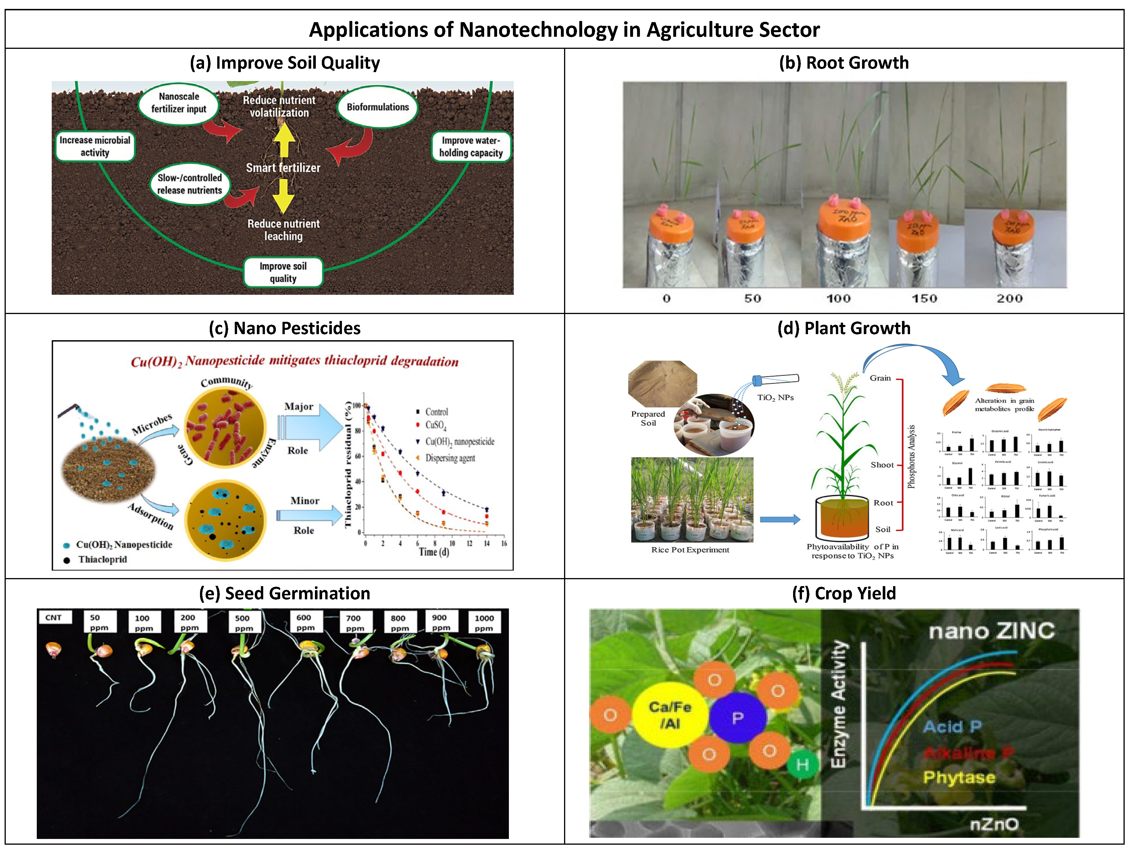 Sustainability 14 09397 g004