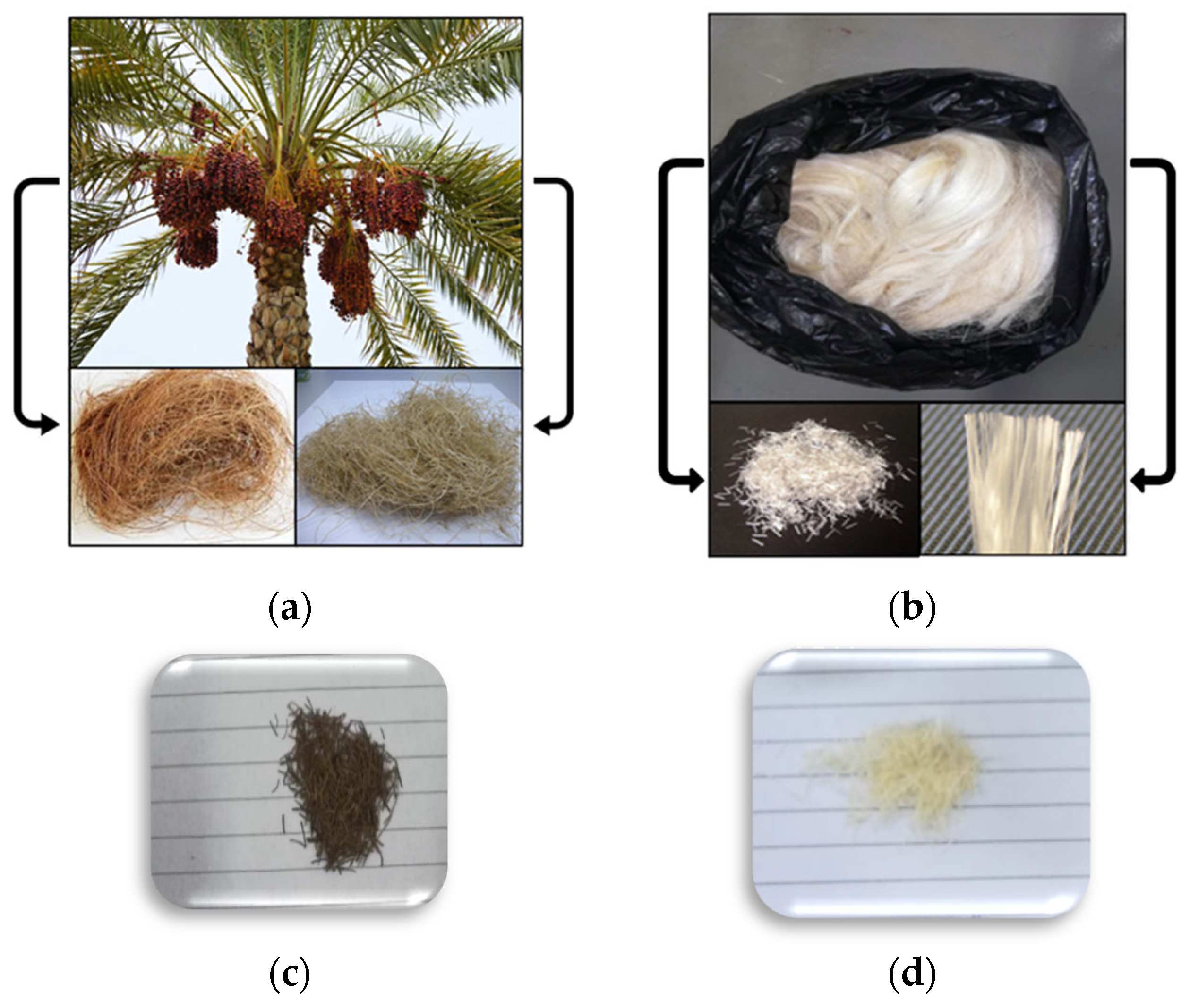 Sustainability 14 09425 g001