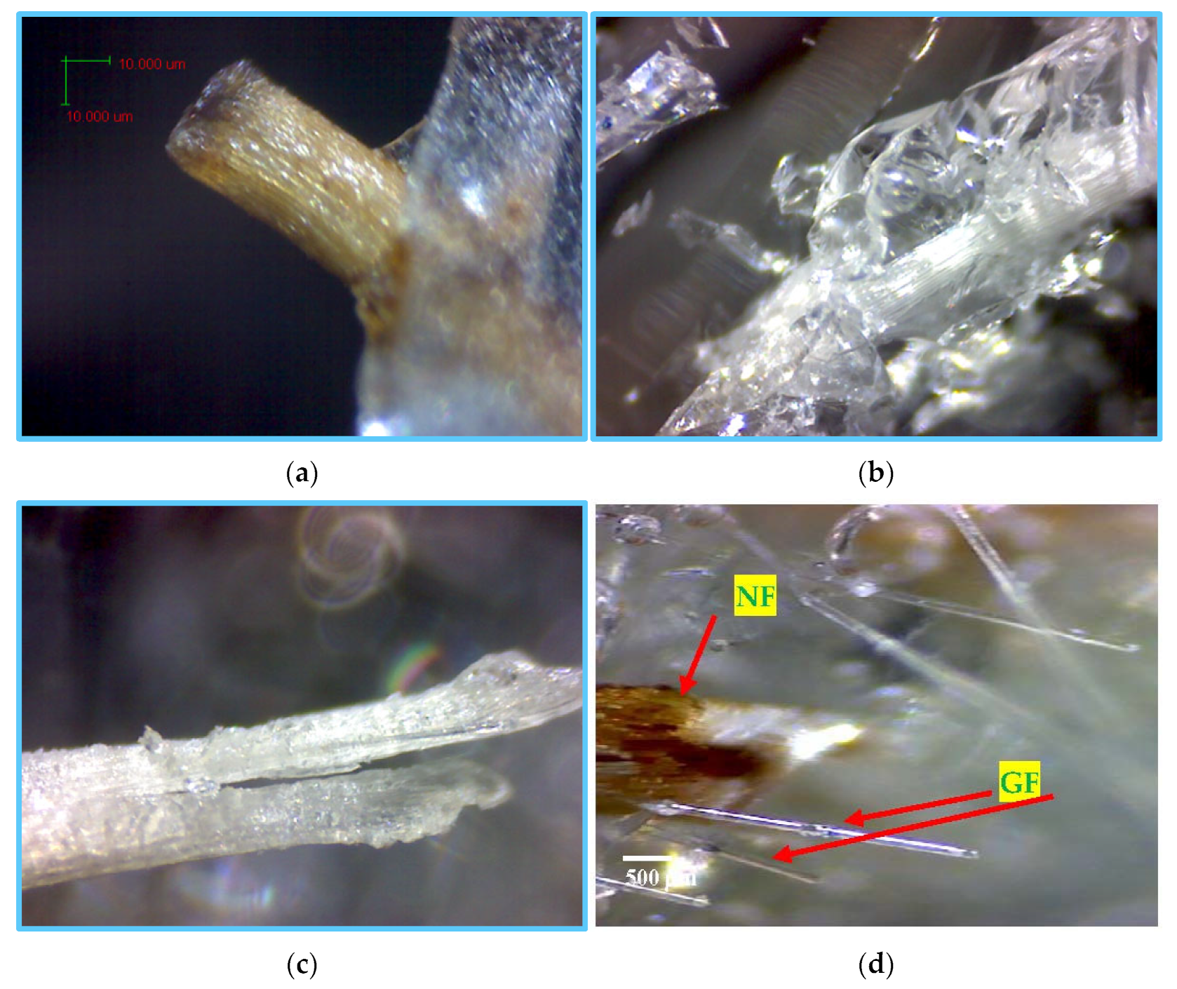 Sustainability 14 09425 g010