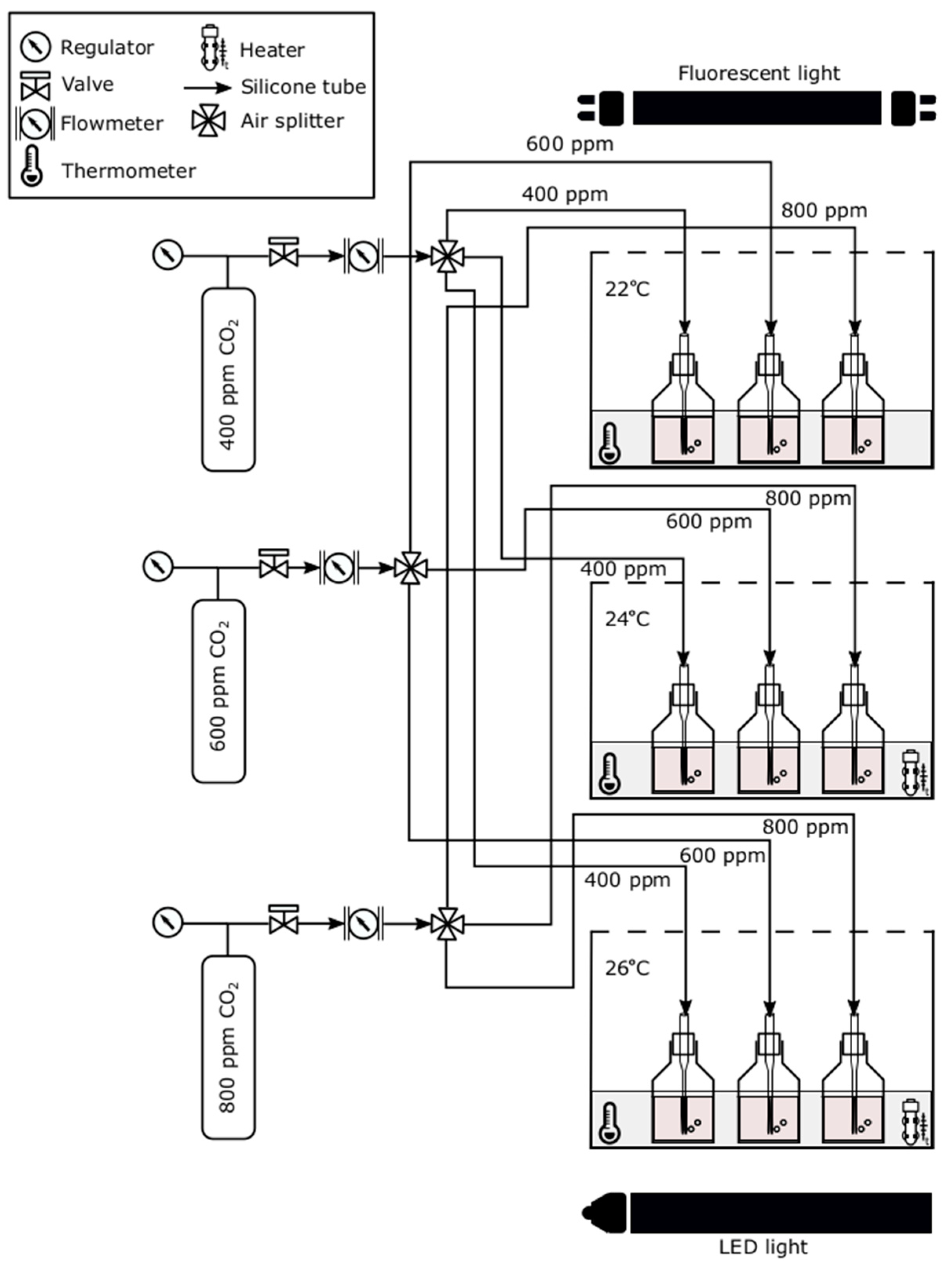 Sustainability 14 09508 g001