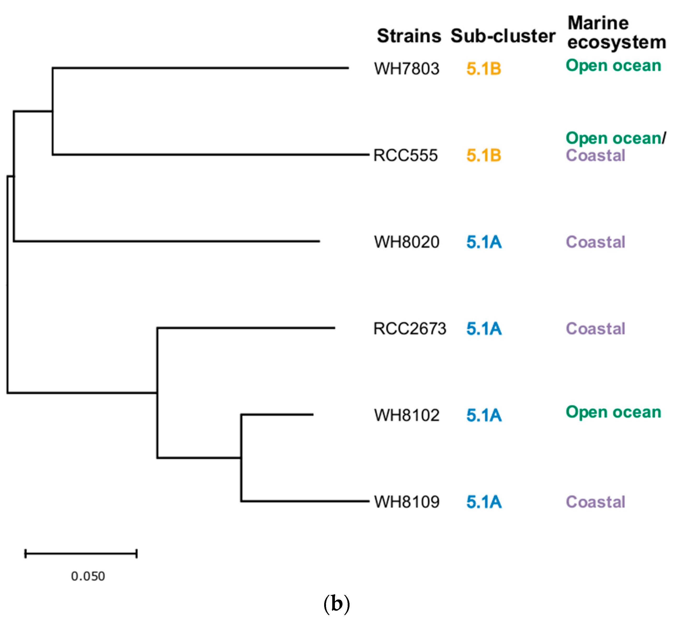 Sustainability 14 09508 g006b
