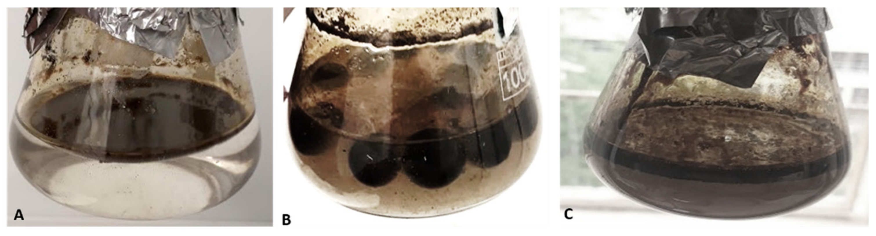 Sustainability 14 09562 g001