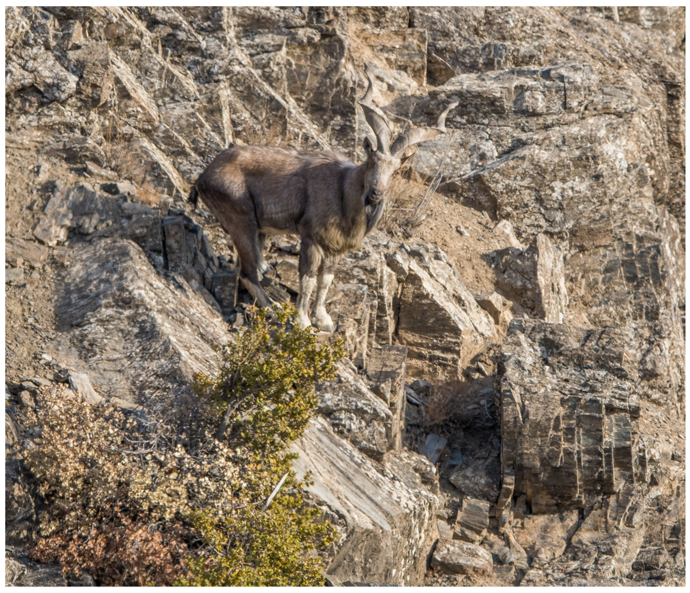 Sustainability 14 09567 g003