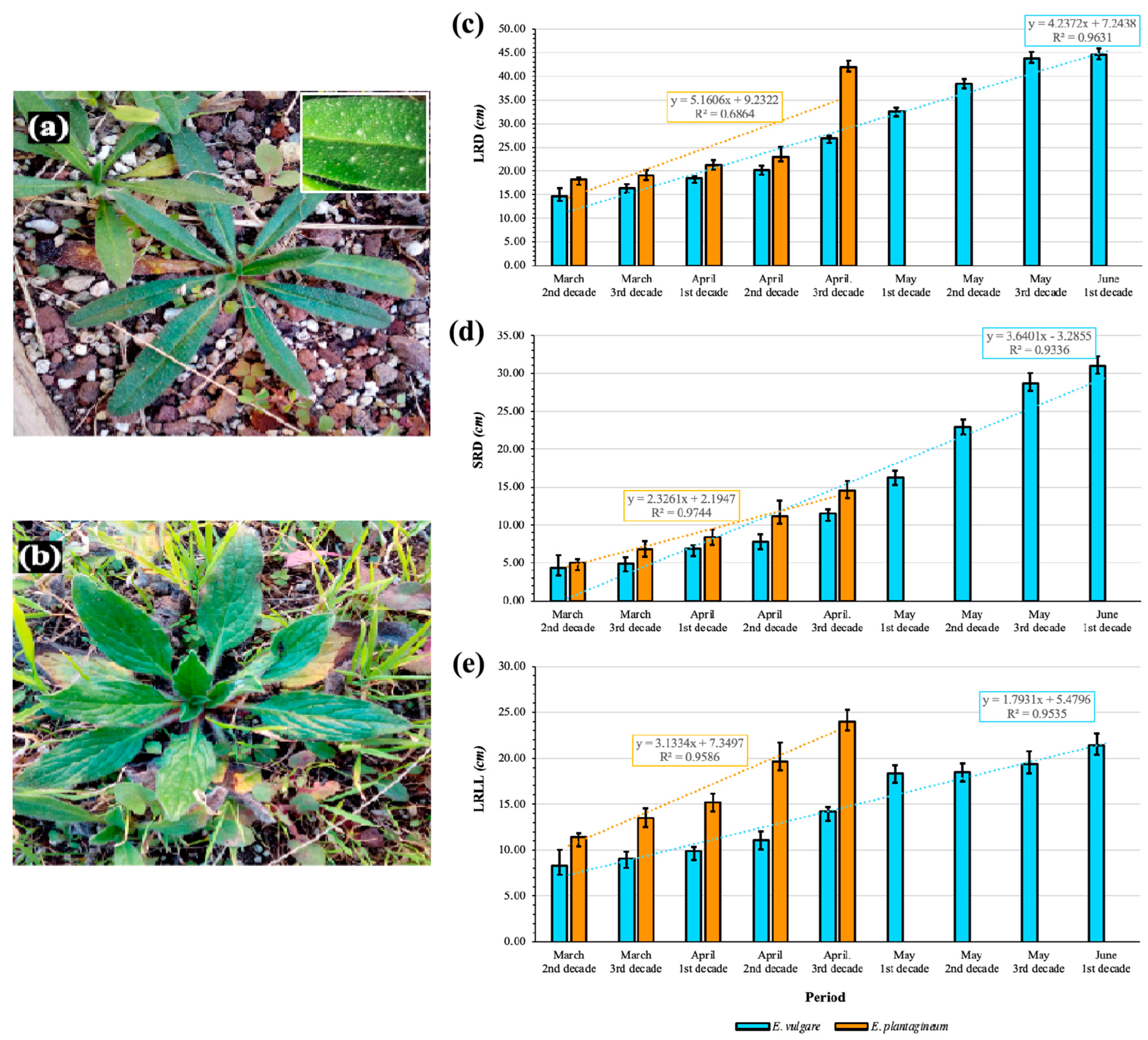 Sustainability 14 09581 g003