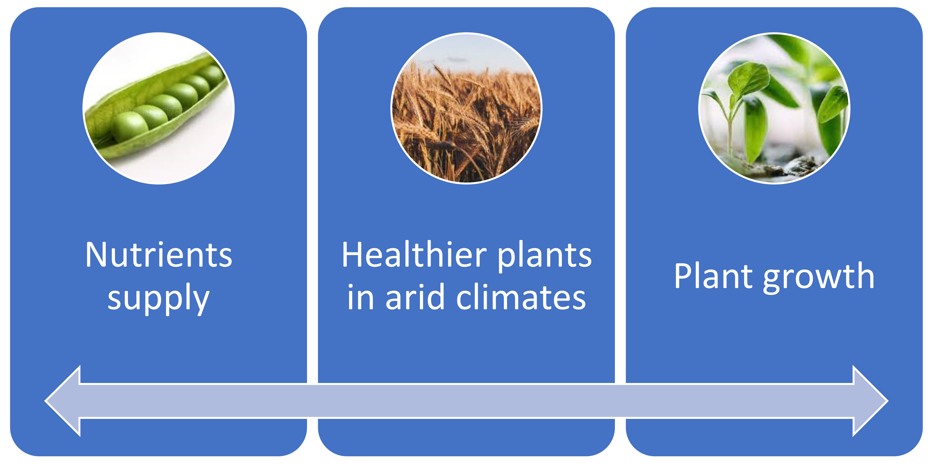 Sustainability 14 09626 g002