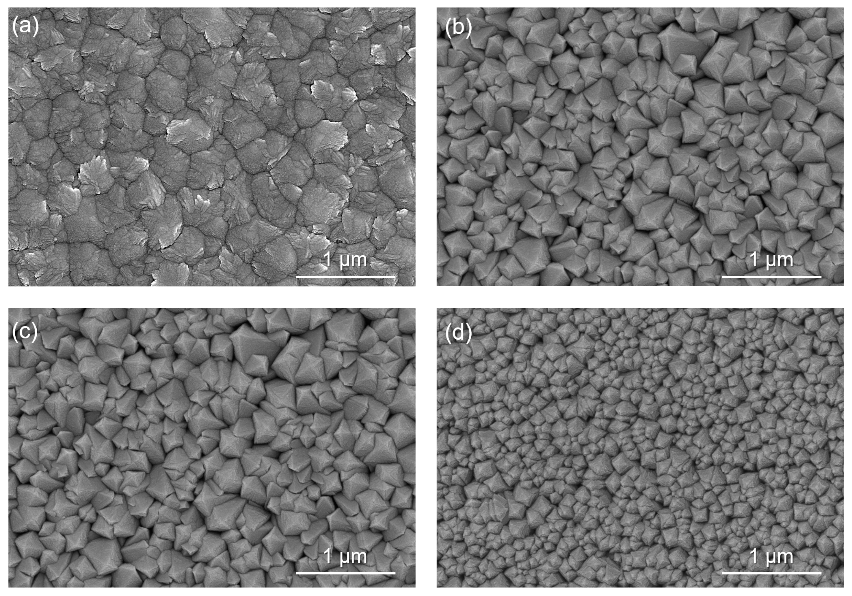 Sustainability 14 09704 g002