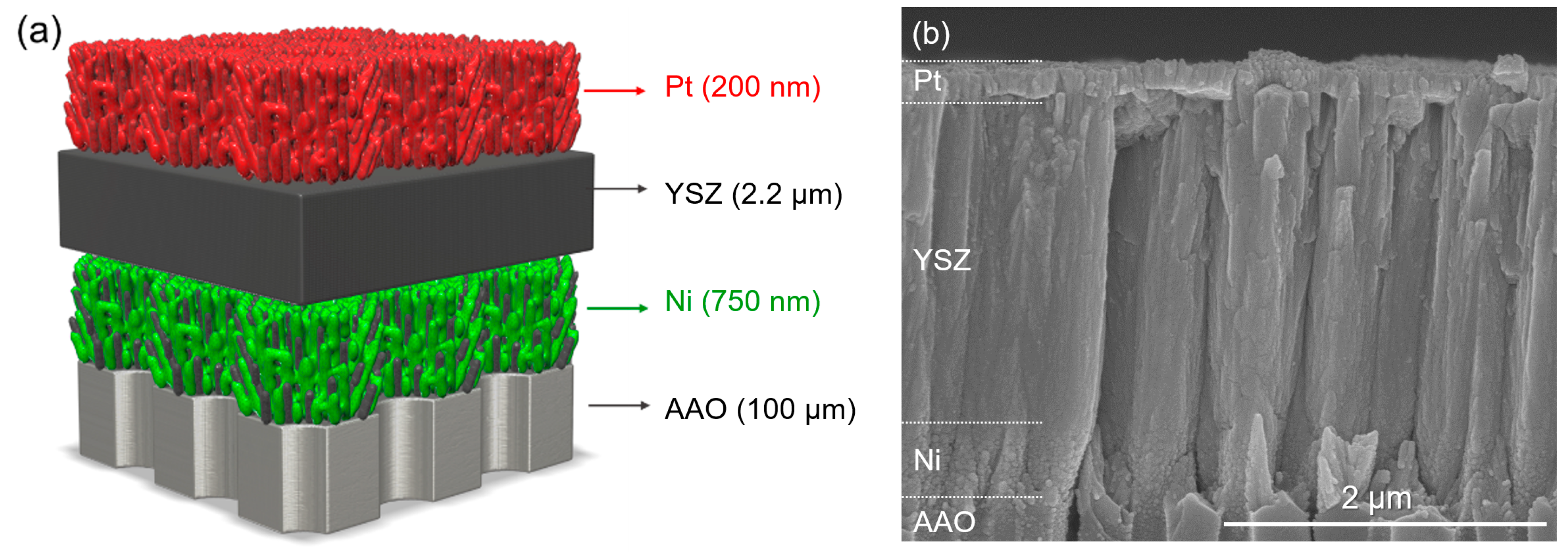 Sustainability 14 09704 g004