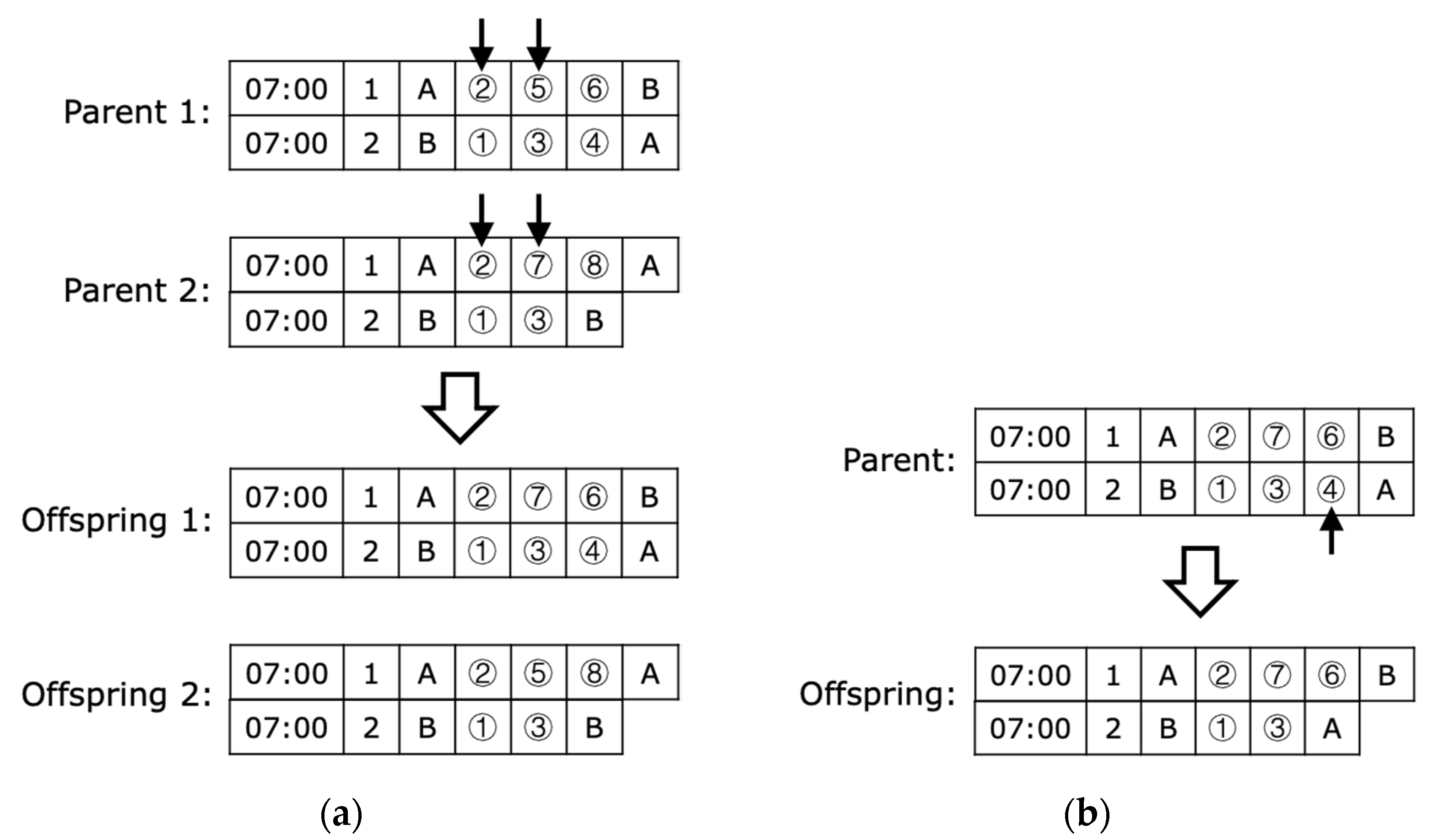 Sustainability 14 09727 g007