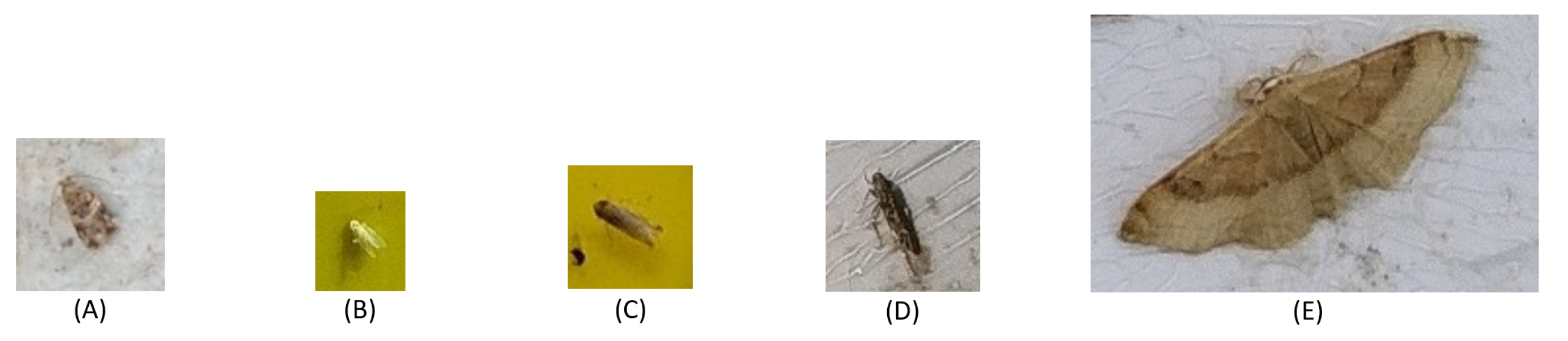 Sustainability 14 09729 g003