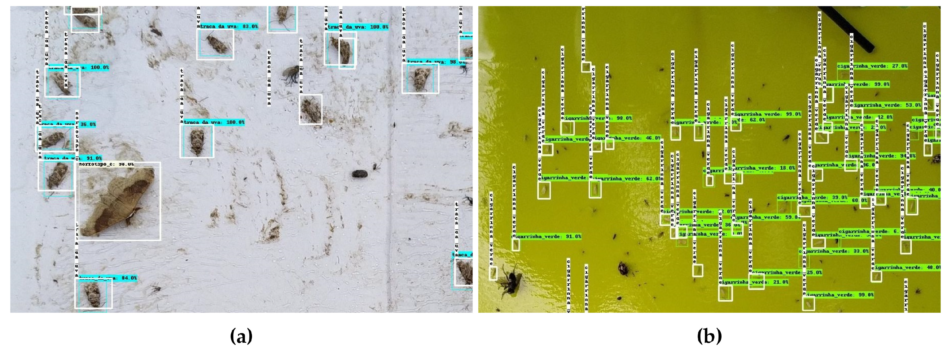 Sustainability 14 09729 g004