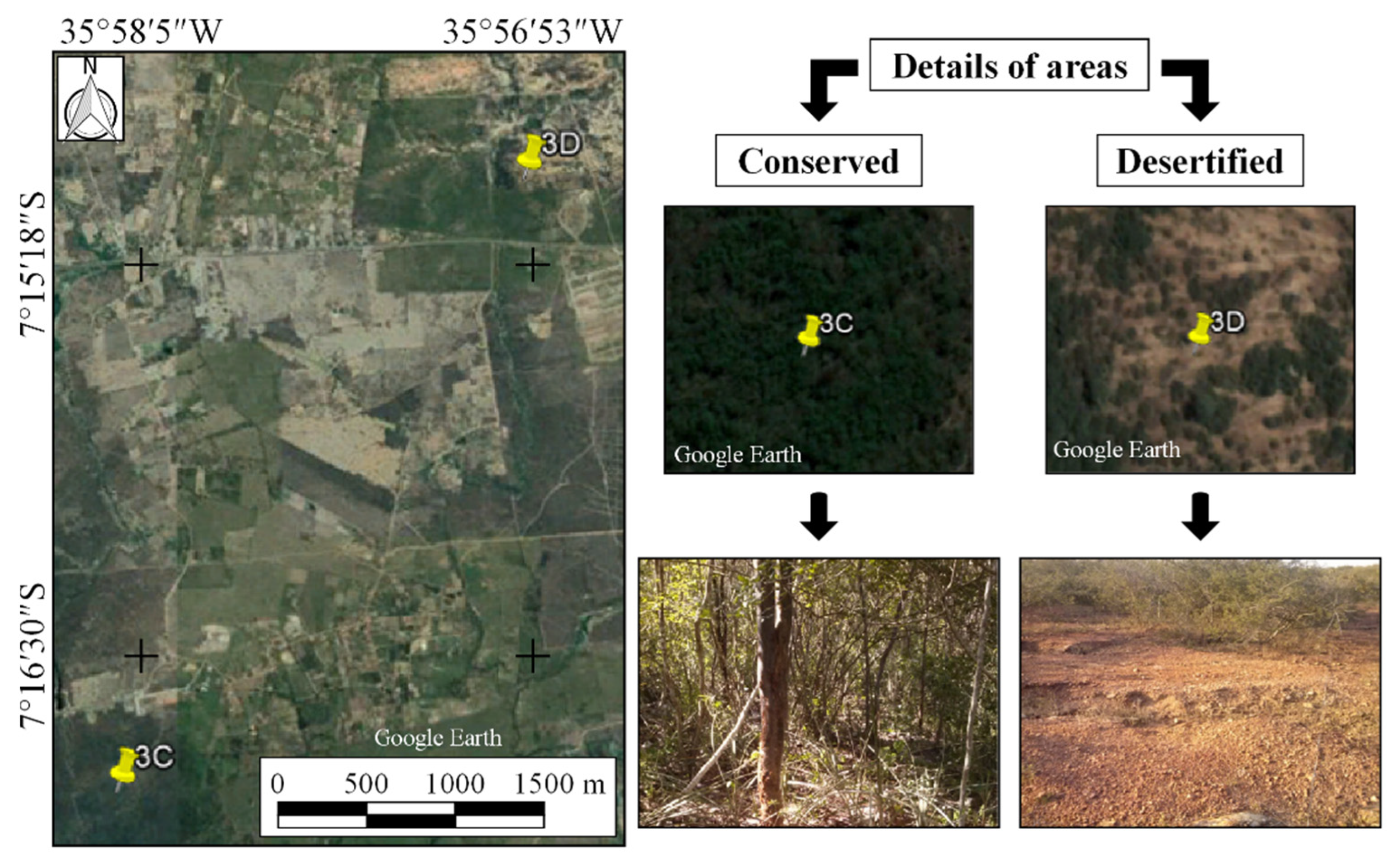 Sustainability 14 09735 g003