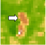 Sustainability 14 09735 i001