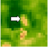 Sustainability 14 09735 i002