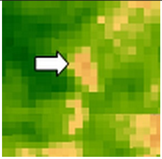 Sustainability 14 09735 i003