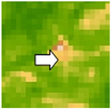 Sustainability 14 09735 i004