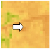 Sustainability 14 09735 i006