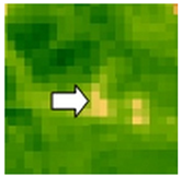 Sustainability 14 09735 i016