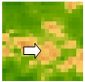 Sustainability 14 09735 i034