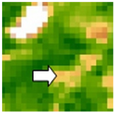 Sustainability 14 09735 i040