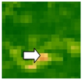 Sustainability 14 09735 i043