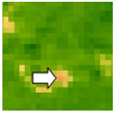 Sustainability 14 09735 i044